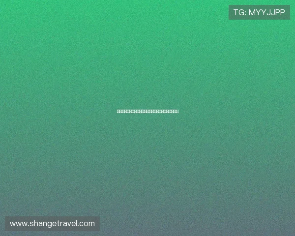 河豚篮球直播在线观看最新赛事精彩瞬间全程不间断直播