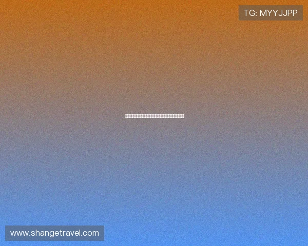 熊猫体育官网登录入口最新攻略与账号安全使用指南